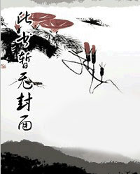 苏扬文文